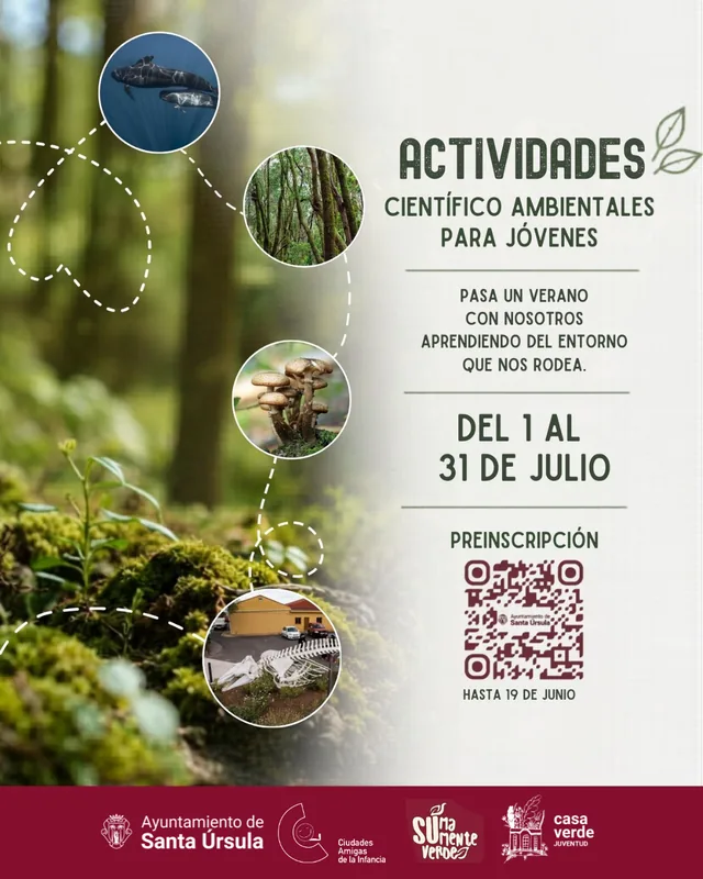 Actividades científico-ambientales para jóvenes — Infantil y Familiar en Santa Úrsula, Tenerife