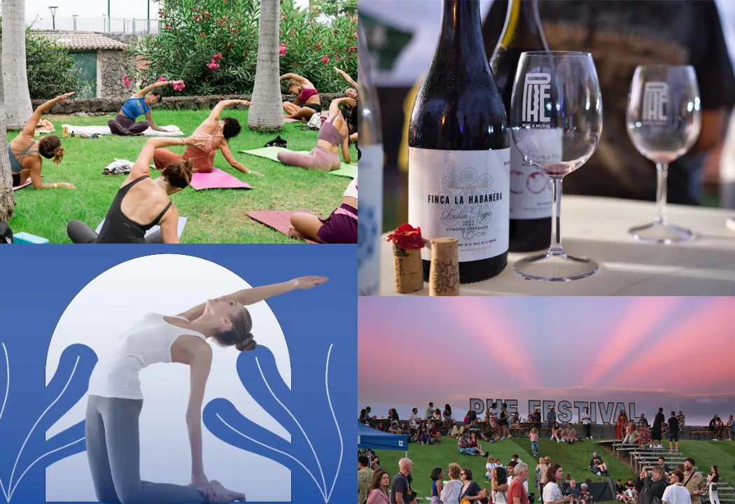 Actividades Paralelas - Phe Festival 2026 — Talleres y Formación en Puerto de la Cruz, Tenerife