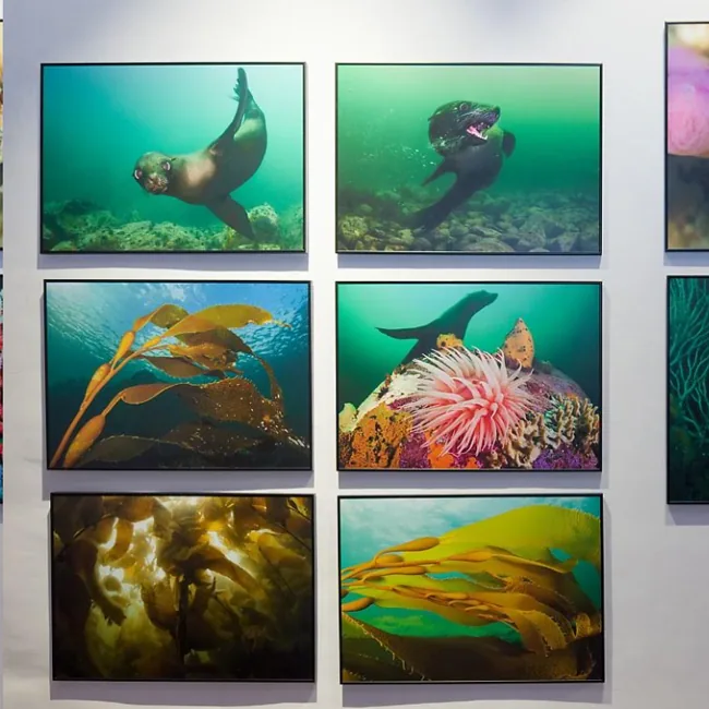 Arte en Campus América 2026 — Exposiciones y Museos en San Cristóbal de La Laguna, Tenerife