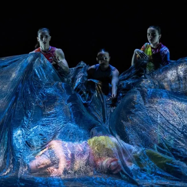 Bodies of Water - MAPAS 2026 — Teatro y Danza en Santa Cruz de Tenerife, Tenerife