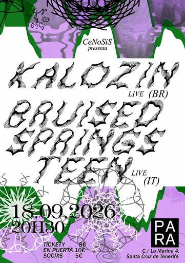 Bruised SpringsTeen + KALOZIN — Music in Santa Cruz de Tenerife, Tenerife