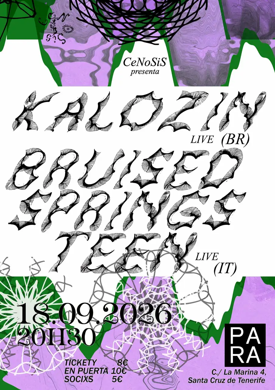 Bruised SpringsTeen + KALOZIN — Música en Santa Cruz de Tenerife, Tenerife