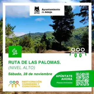 Caminando por la Vida: Ruta de las Palomas – Nivel Alto — Deportes y Aventura en Adeje, Tenerife
