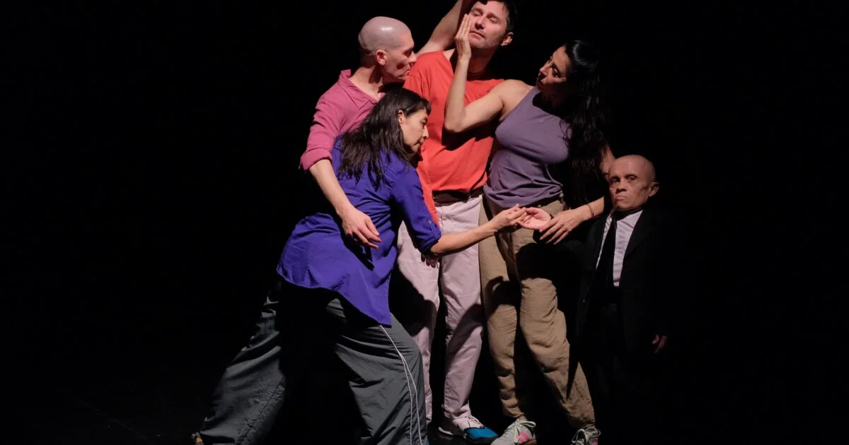 Cerebro — Teatro y Danza en Santa Cruz de Tenerife, Tenerife