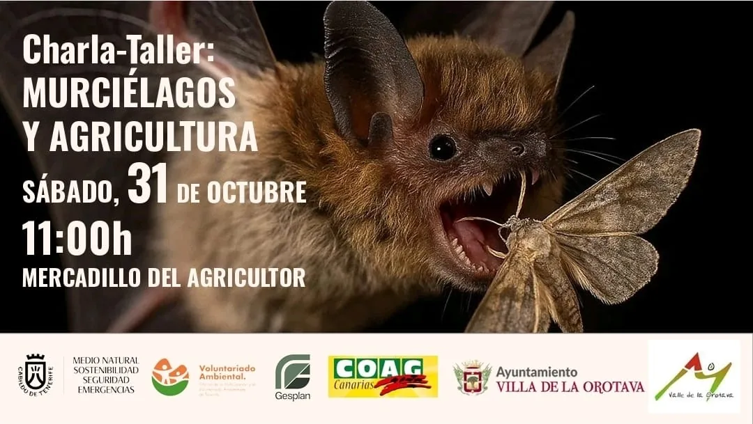 Charla-taller: murciélagos y agricultura — Talleres y Formación en La Orotava, Tenerife