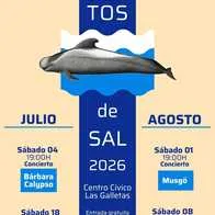 Conciertos de Sal - José Arbelo — Música en Arona, Tenerife