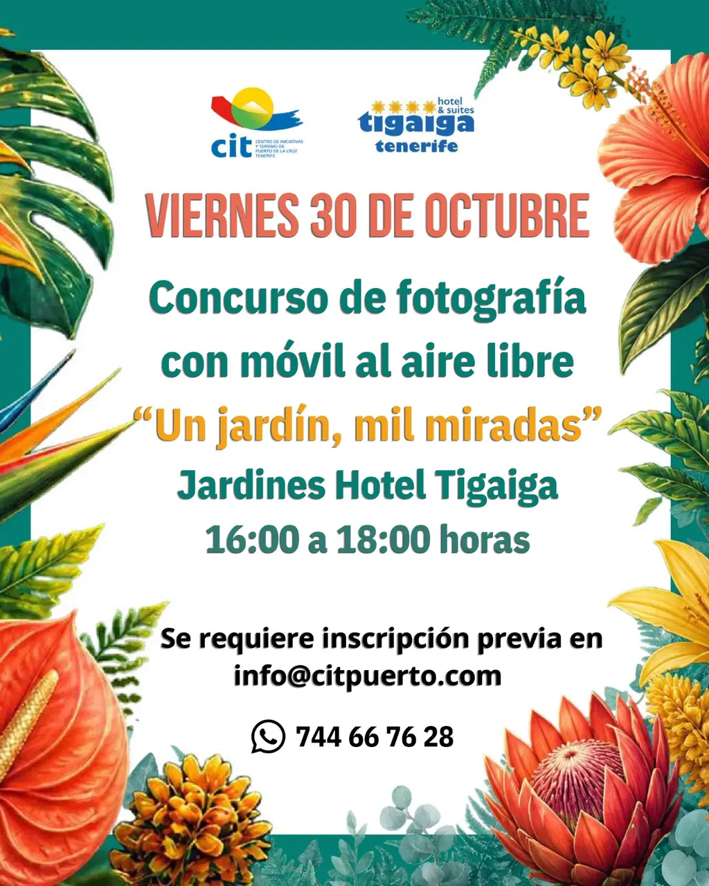 Photography Competition — Workshops & Training in Puerto de la Cruz, Tenerife