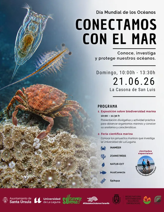 Conectamos con el mar — Talleres y Formación en Santa Úrsula, Tenerife