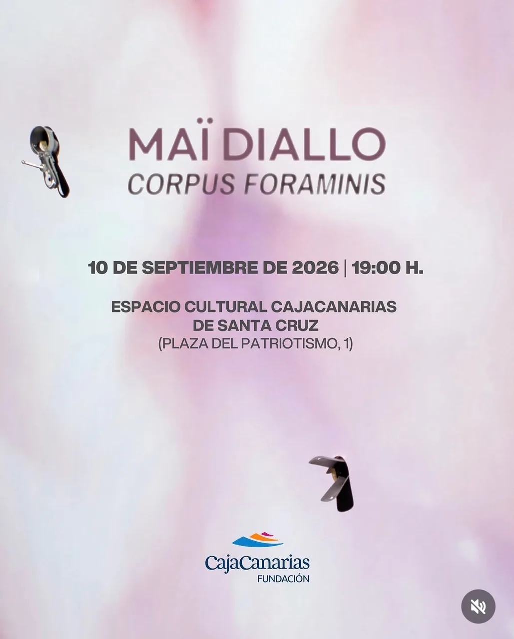 Corpus Foraminis — Exposiciones y Museos en Santa Cruz de Tenerife, Tenerife
