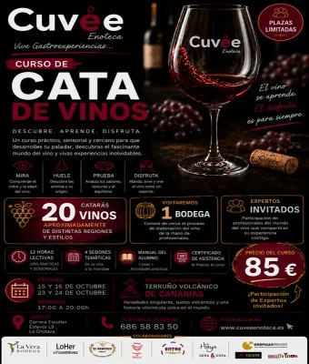 Curso de Cata de Vinos en Santa Cruz de Tenerife — Gastronomía en Santa Cruz de Tenerife, Tenerife