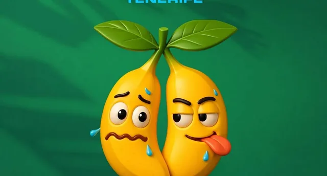 Descaro x Follow — Fiestas y Festivales en Santa Cruz de Tenerife, Tenerife