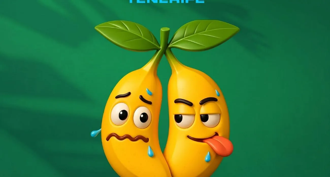 Descaro x Follow — Fiestas y Festivales en Santa Cruz de Tenerife, Tenerife