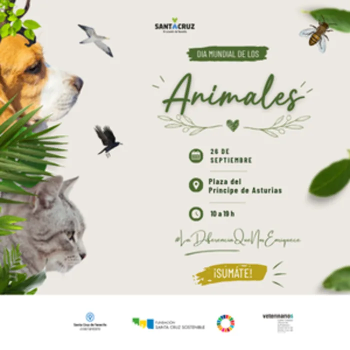 Animal Day 2026 — Workshops & Training in Santa Cruz de Tenerife, Tenerife