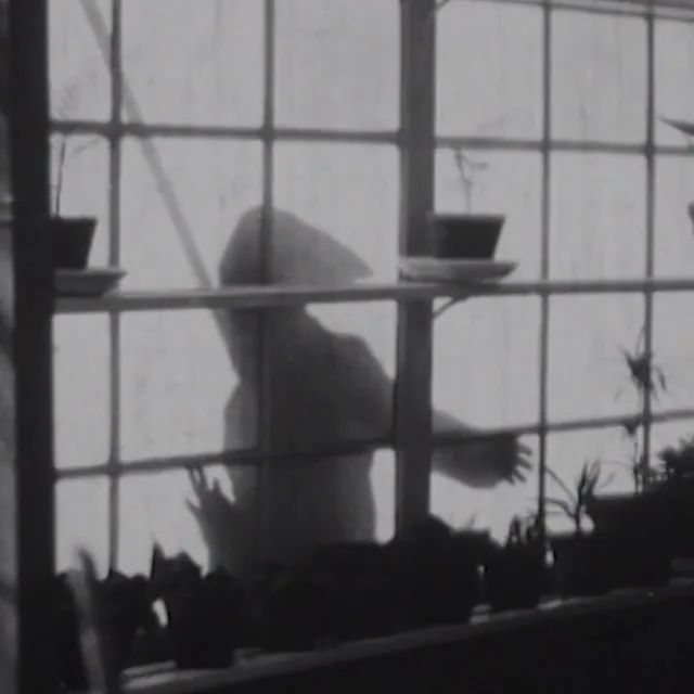 El ladrón de los guantes blancos — Cine en Santa Cruz de Tenerife, Tenerife