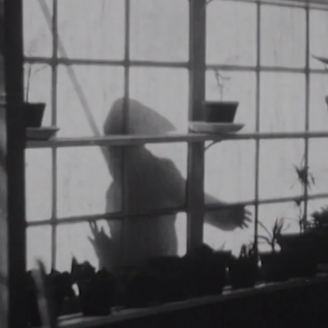 El ladrón de los guantes blancos — Cine en Santa Cruz de Tenerife, Tenerife