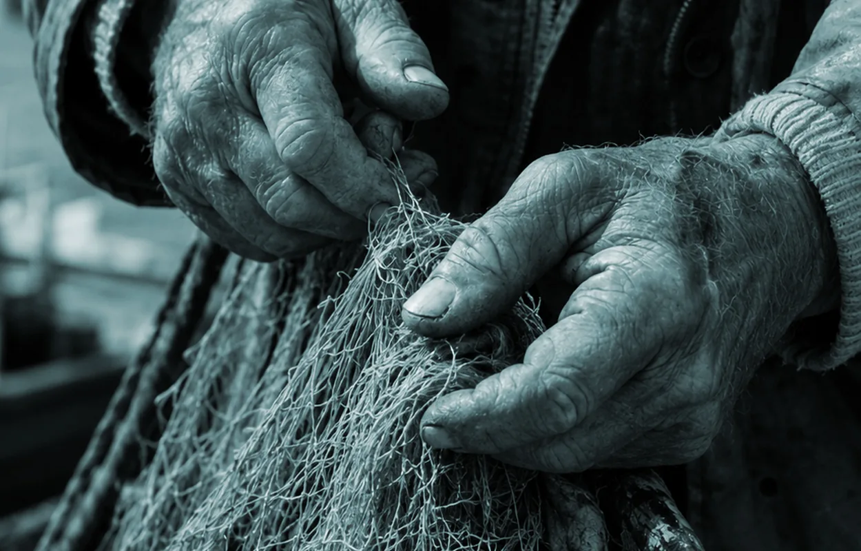 EntreCostas — Talleres y Formación en Guía de Isora, Tenerife