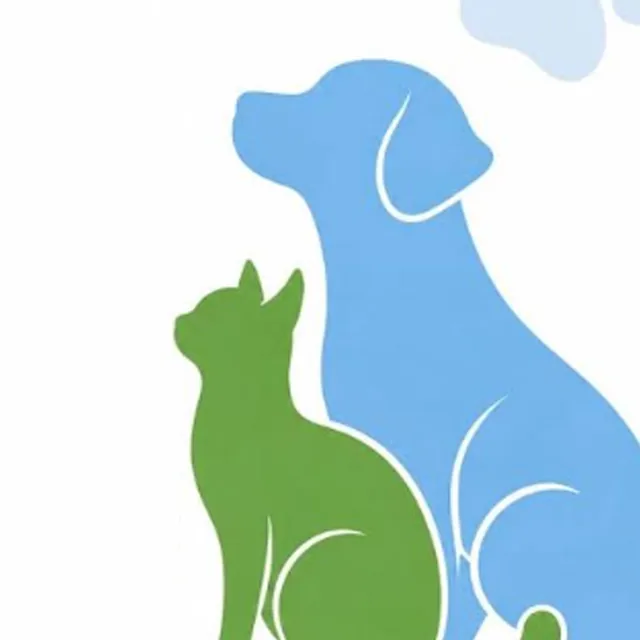 Evento solidario de animales — Infantil y Familiar en Santa Cruz de Tenerife, Tenerife