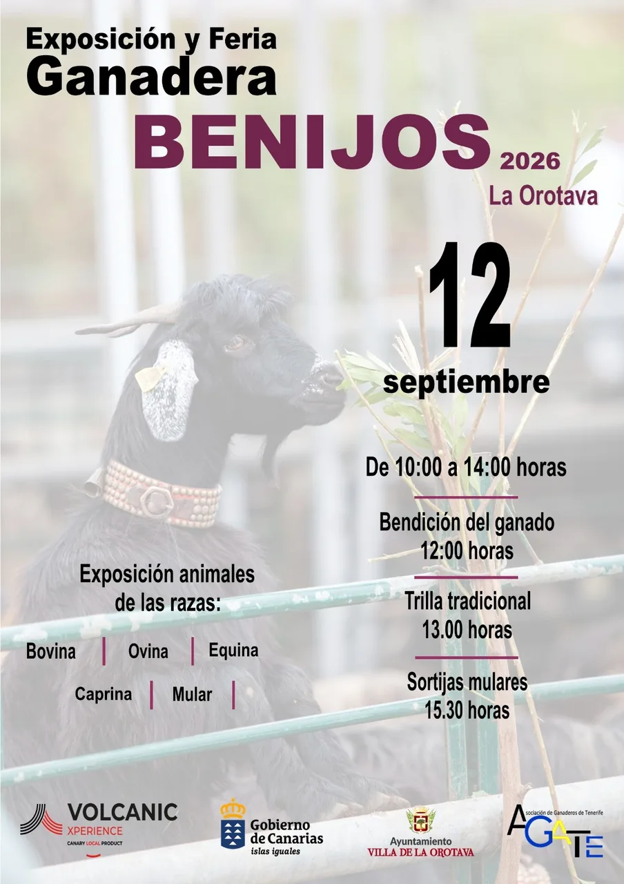Exposición y Feria Ganadera Benijos 2026 — Fiestas tradicionales / Romerías en La Orotava, Tenerife