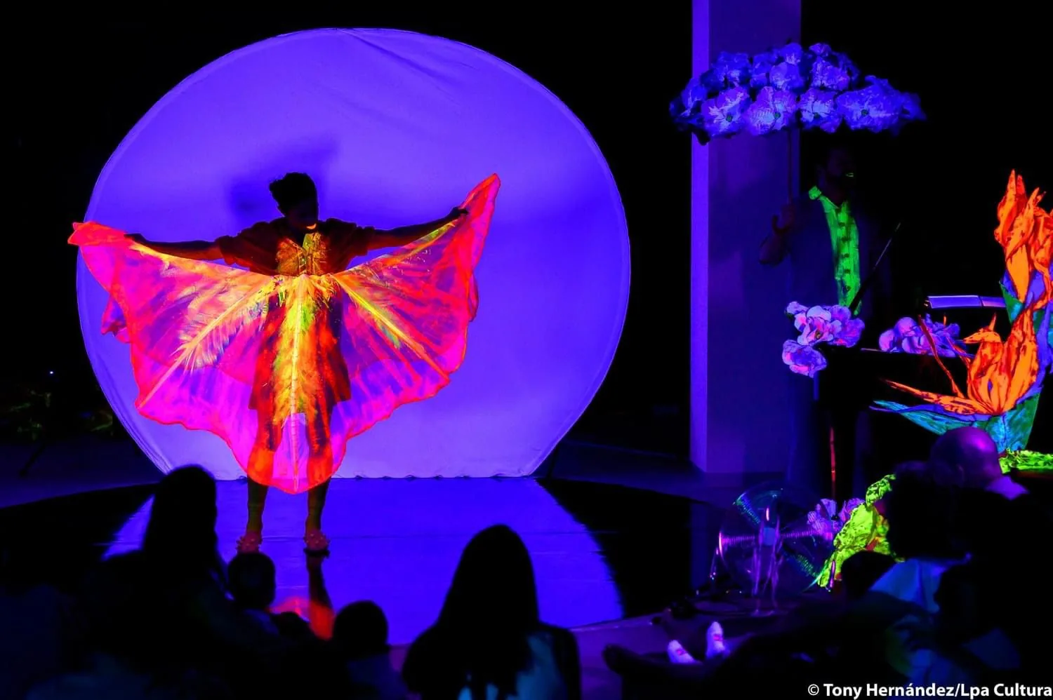 Flores. ¿A qué suena la naturaleza? — Teatro y Danza en Santa Cruz de Tenerife, Tenerife