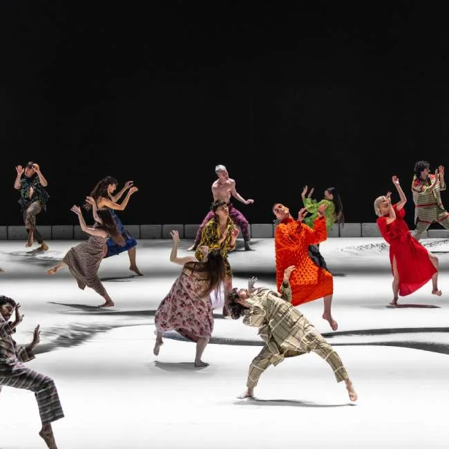 Hammer - MAPAS 2026 — Teatro y Danza en Santa Cruz de Tenerife, Tenerife