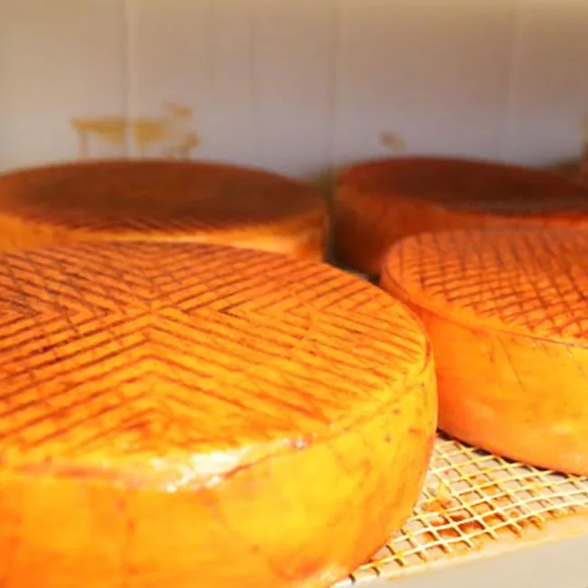 First Granadilla de Abona Cheese Fair — Food & Drink in Granadilla de Abona, Tenerife