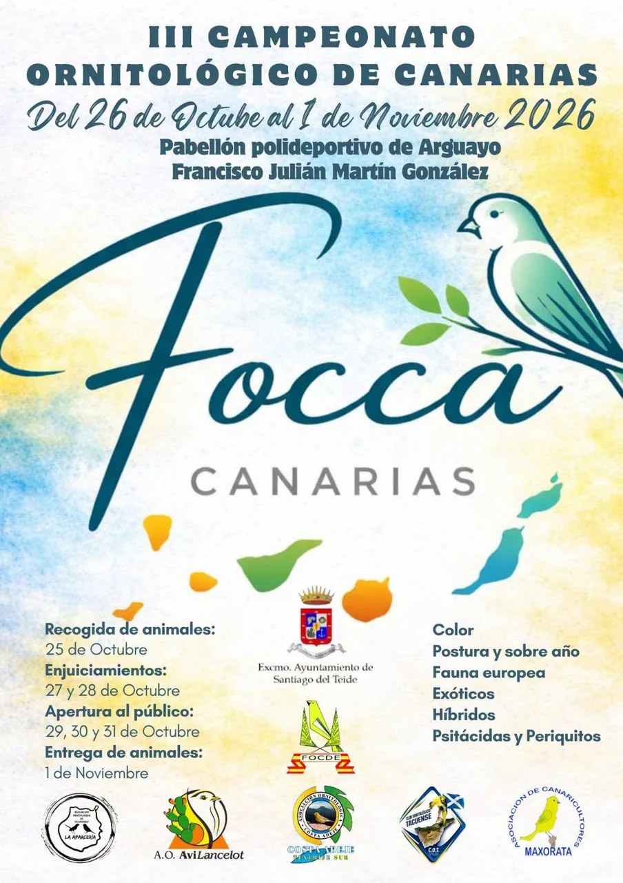 3rd Canary Islands Ornithological Championship in Arguayo — Exhibitions & Museums in Santiago del Teide, Tenerife