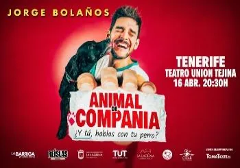 Jorge Bolaños in Arona — Theatre & Dance in Arona, Tenerife