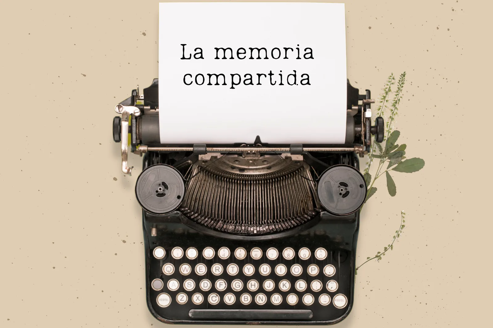 Shared Memory — Workshops & Training in Santa Cruz de Tenerife, Tenerife