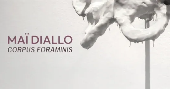 Maï Diallo — Exposiciones y Museos en Santa Cruz de Tenerife, Tenerife