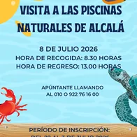 Mayores Arona - Visita a las Piscinas Naturales de Alcalá — Deportes y Aventura en Arona, Tenerife