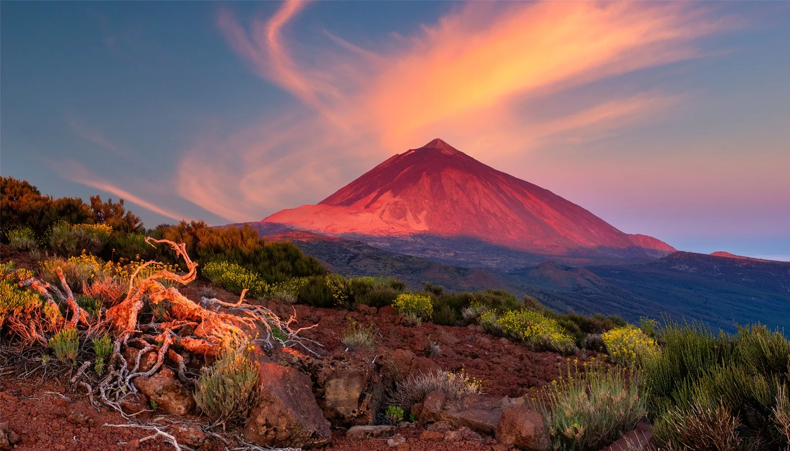 Multiverso Lúdico (rol) — Talleres y Formación en Santa Cruz de Tenerife, Tenerife