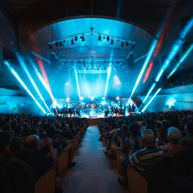 Noctámbula Tenerife — Fiestas y Festivales en Santa Cruz de Tenerife, Tenerife