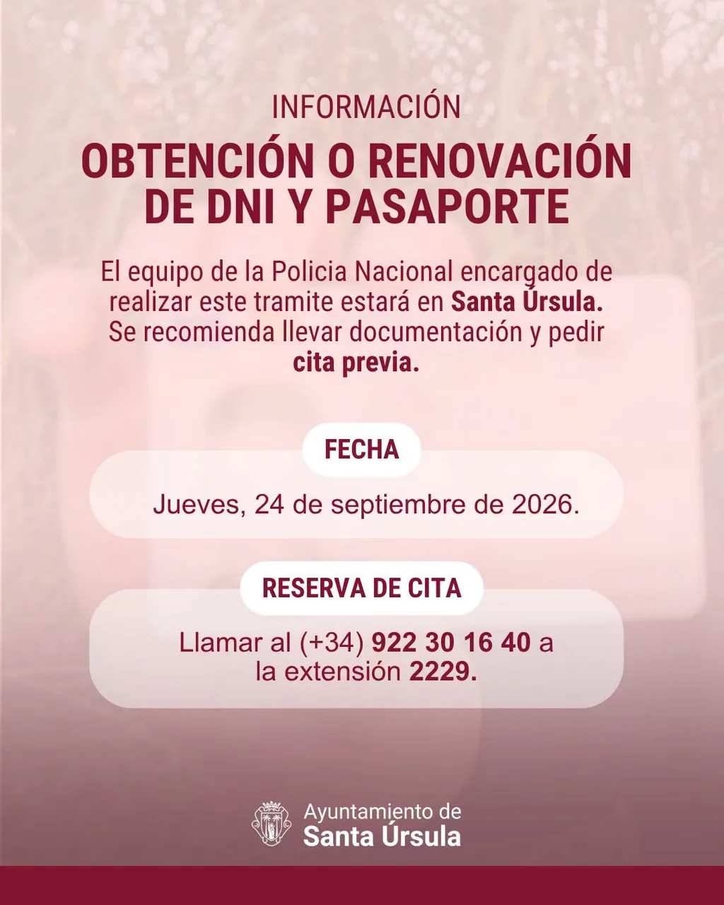 DNI and Passport Issuance and Renewal Services — Workshops & Training in Santa Úrsula, Tenerife