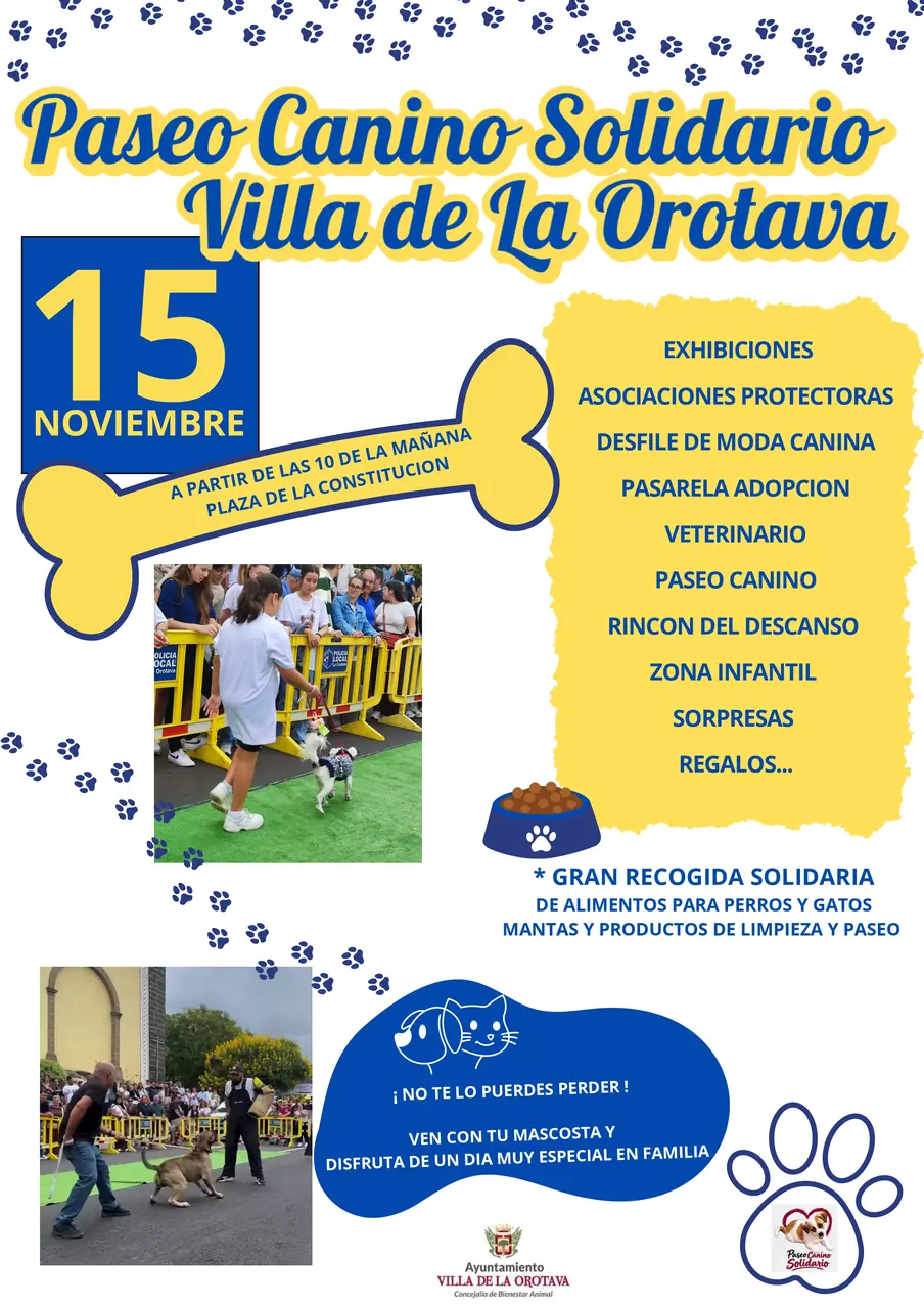 Paseo Canino Solidario Villa de La Orotava — Deportes y Aventura en La Orotava, Tenerife