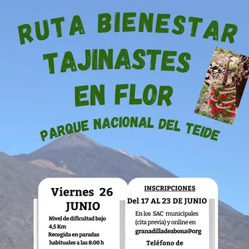 Ruta Bienestar Tajinastes en Flor Parque Nacional del Teide — Deportes y Aventura en Granadilla de Abona, Tenerife