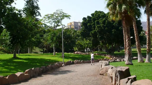 Guided Tour: Unique Trees of Santa Cruz de Tenerife — Sports & Adventure in Santa Cruz de Tenerife, Tenerife