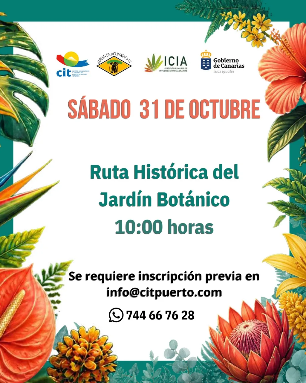 Ruta histórica del Jardín Botánico — Talleres y Formación en Puerto de la Cruz, Tenerife