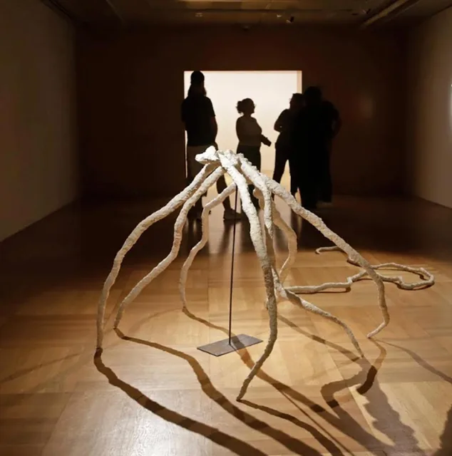 Open Room — Exhibitions & Museums in Santa Cruz de Tenerife, Tenerife