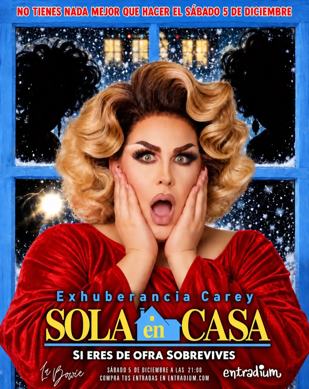 Home Alone — Theatre & Dance in Santa Cruz de Tenerife, Tenerife