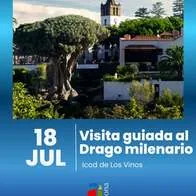 Community Tours: Guided Visit to the Icod de Los Vinos Dragon Tree — Sports & Adventure in Arona, Tenerife