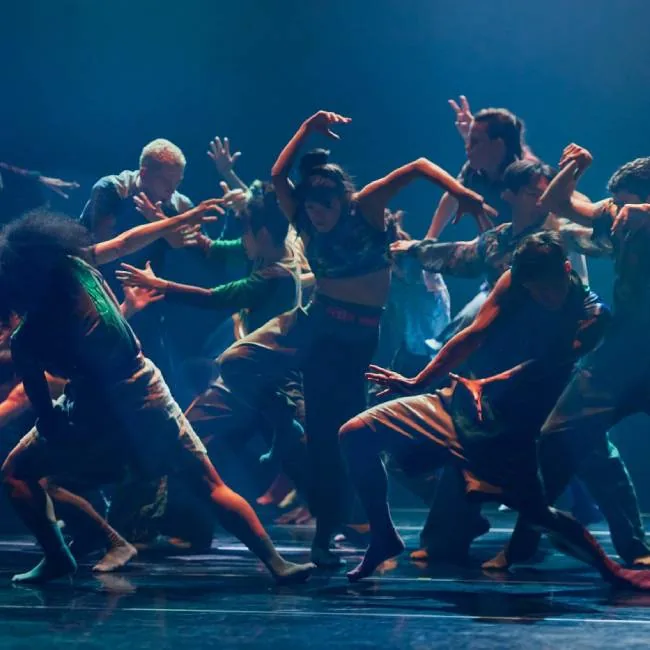 Wild Poetry & Ima - MAPAS 2026 — Teatro y Danza en Santa Cruz de Tenerife, Tenerife